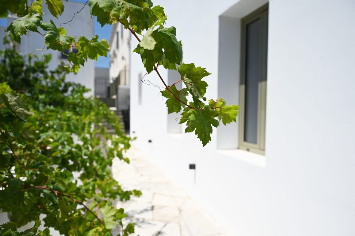 White exterior of Seaera Luxury Tinos Apartment with cycladic plants.